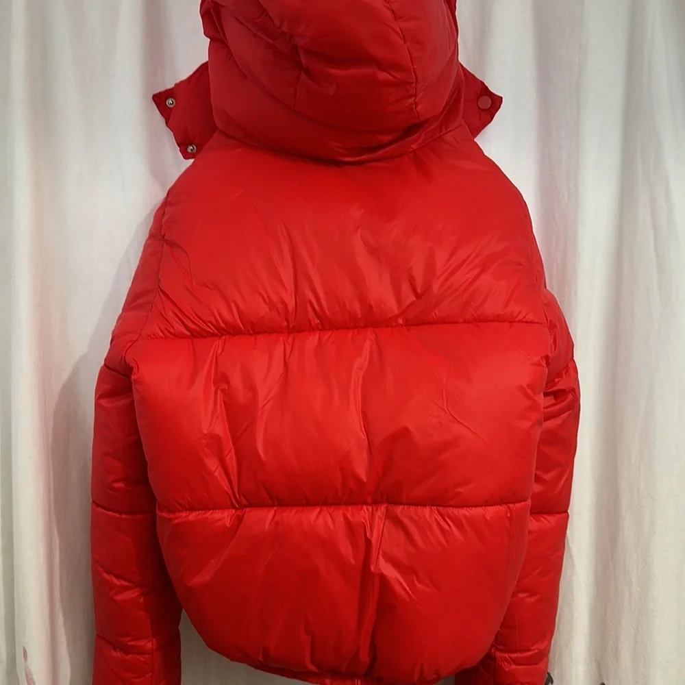 Jacket - Picture 4 of 6